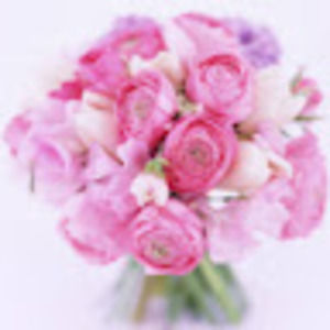 Meet your Posher, Jolene